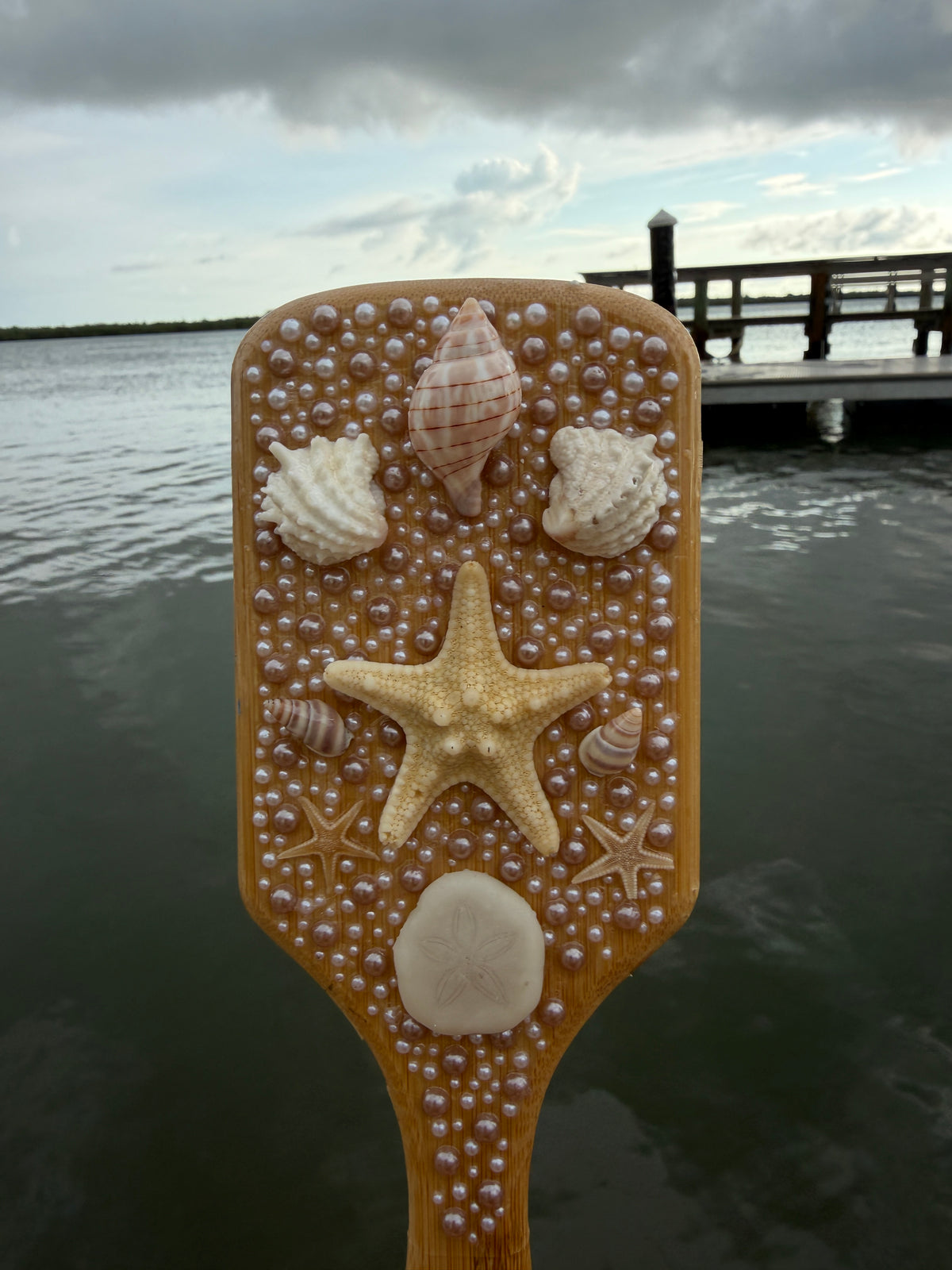 Shell Hair Brush