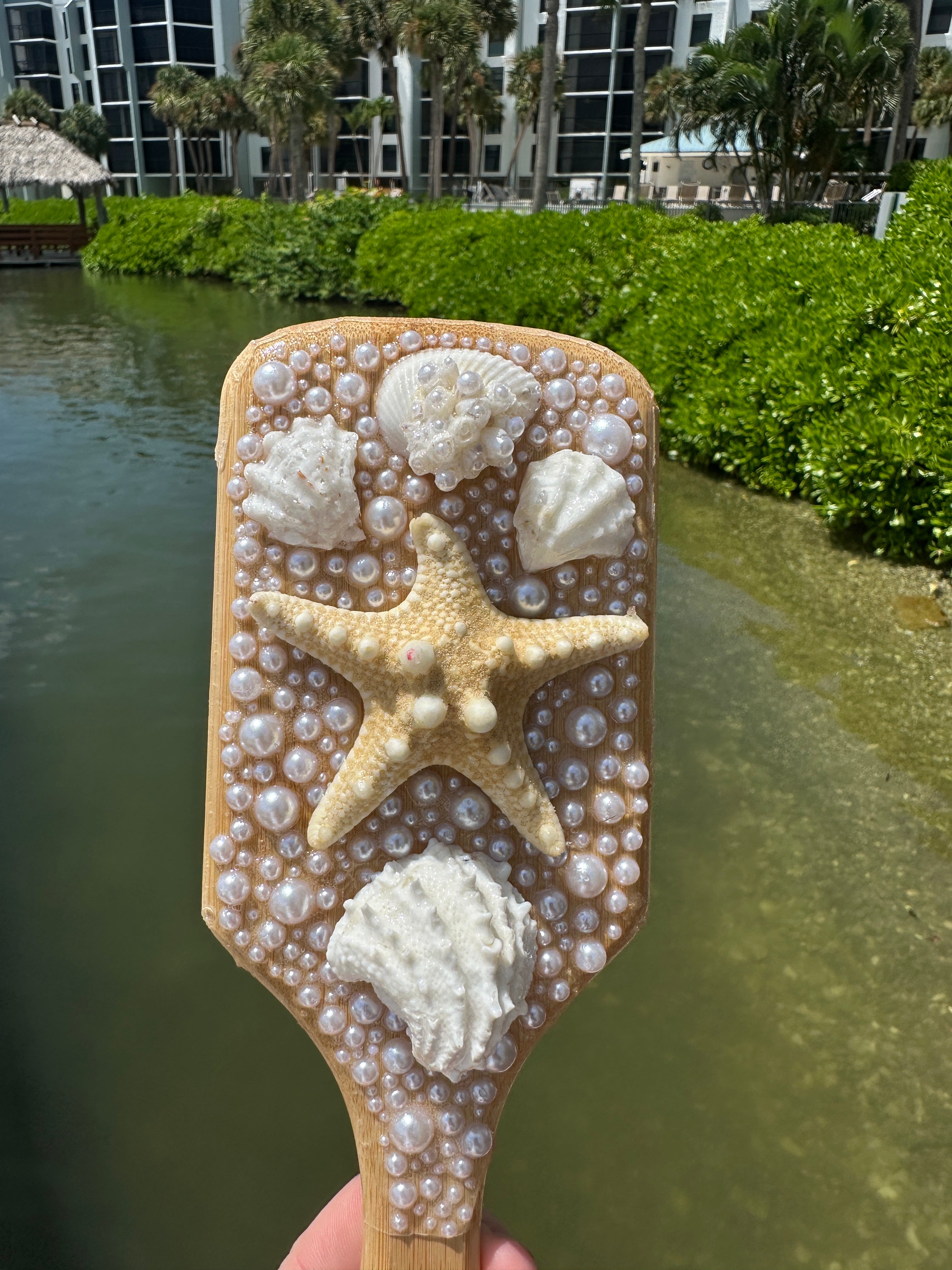 Shell hair brush