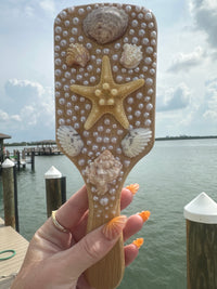 Shell hair brush