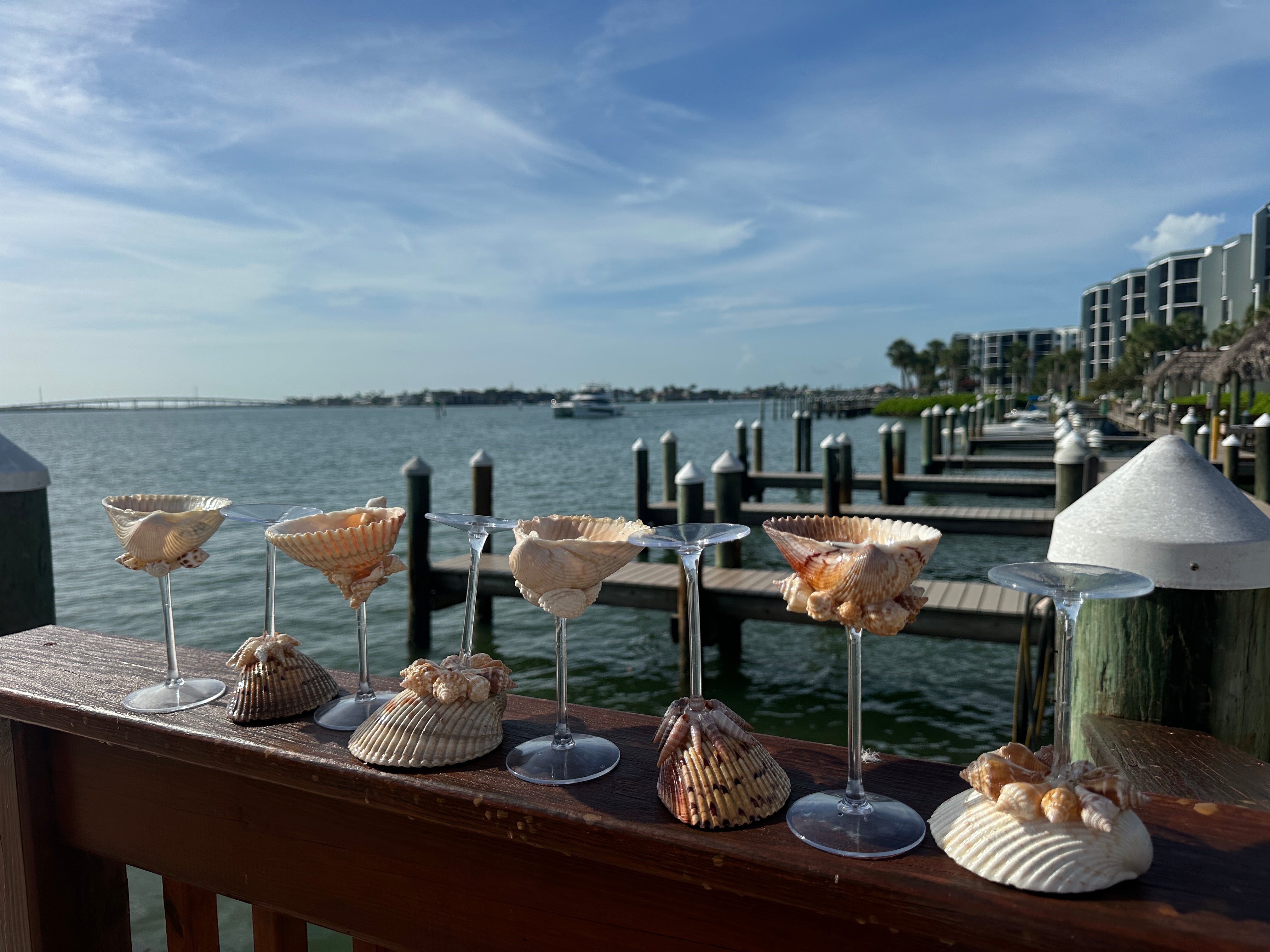 8 Pack Shelltini Glasses + Shell skewers