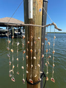 Large shell chime
