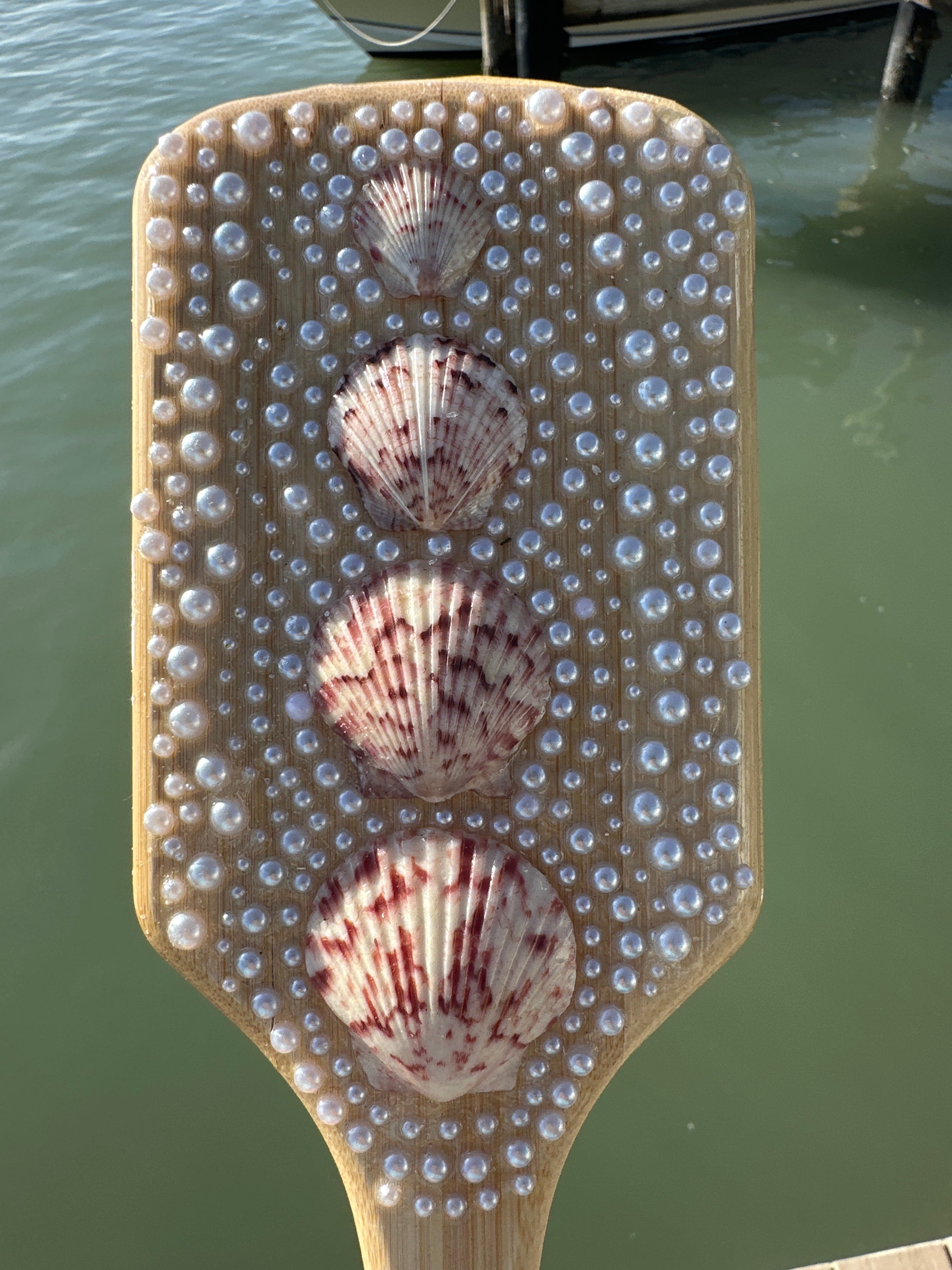 Shell Hair Brush