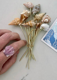 Shell cocktail spears (10 pack )