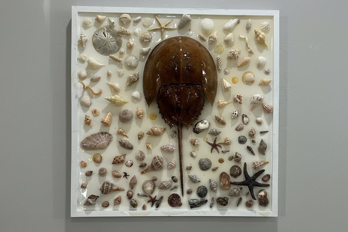 Horseshoe wall decor