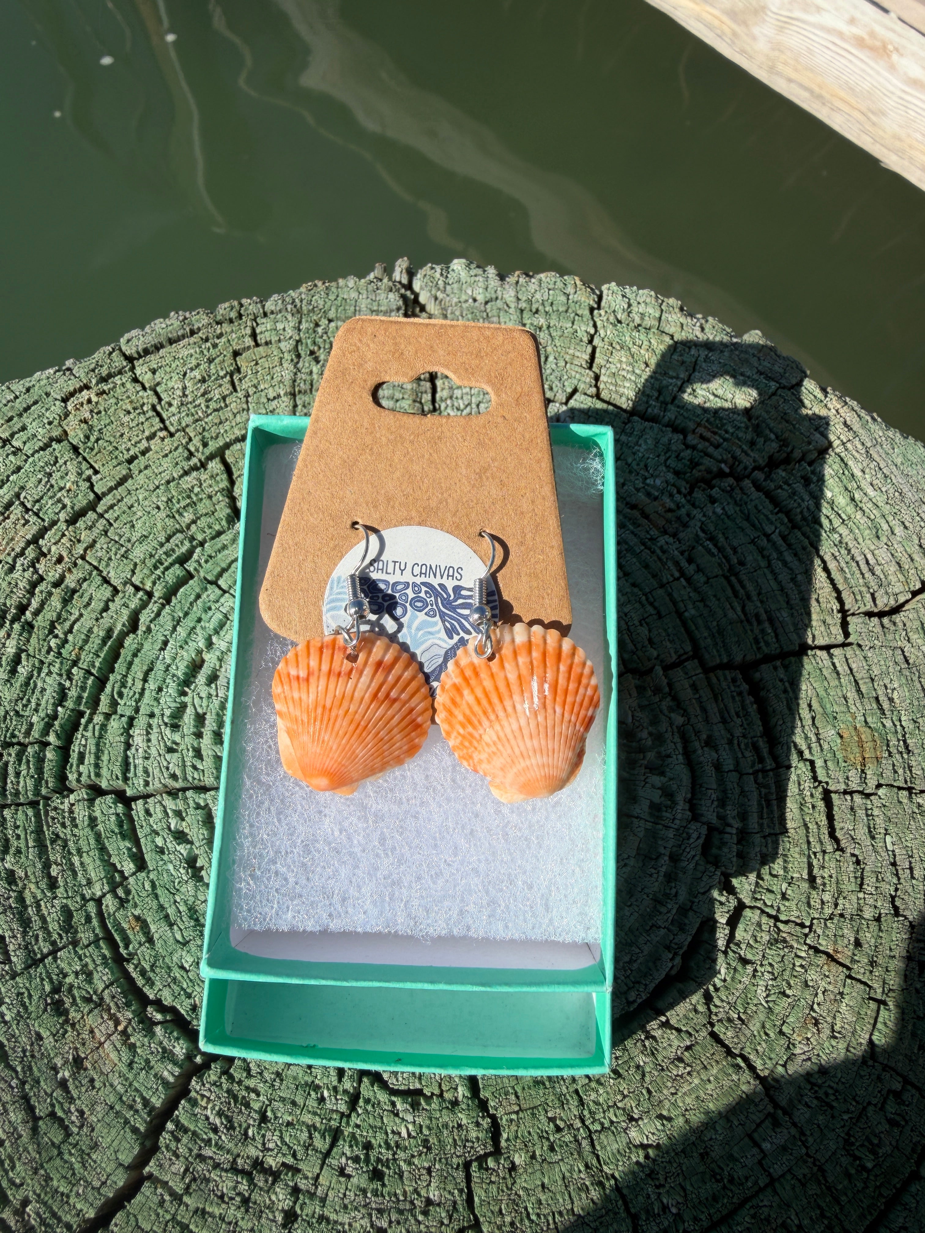 Orange scallop Shell Earrings