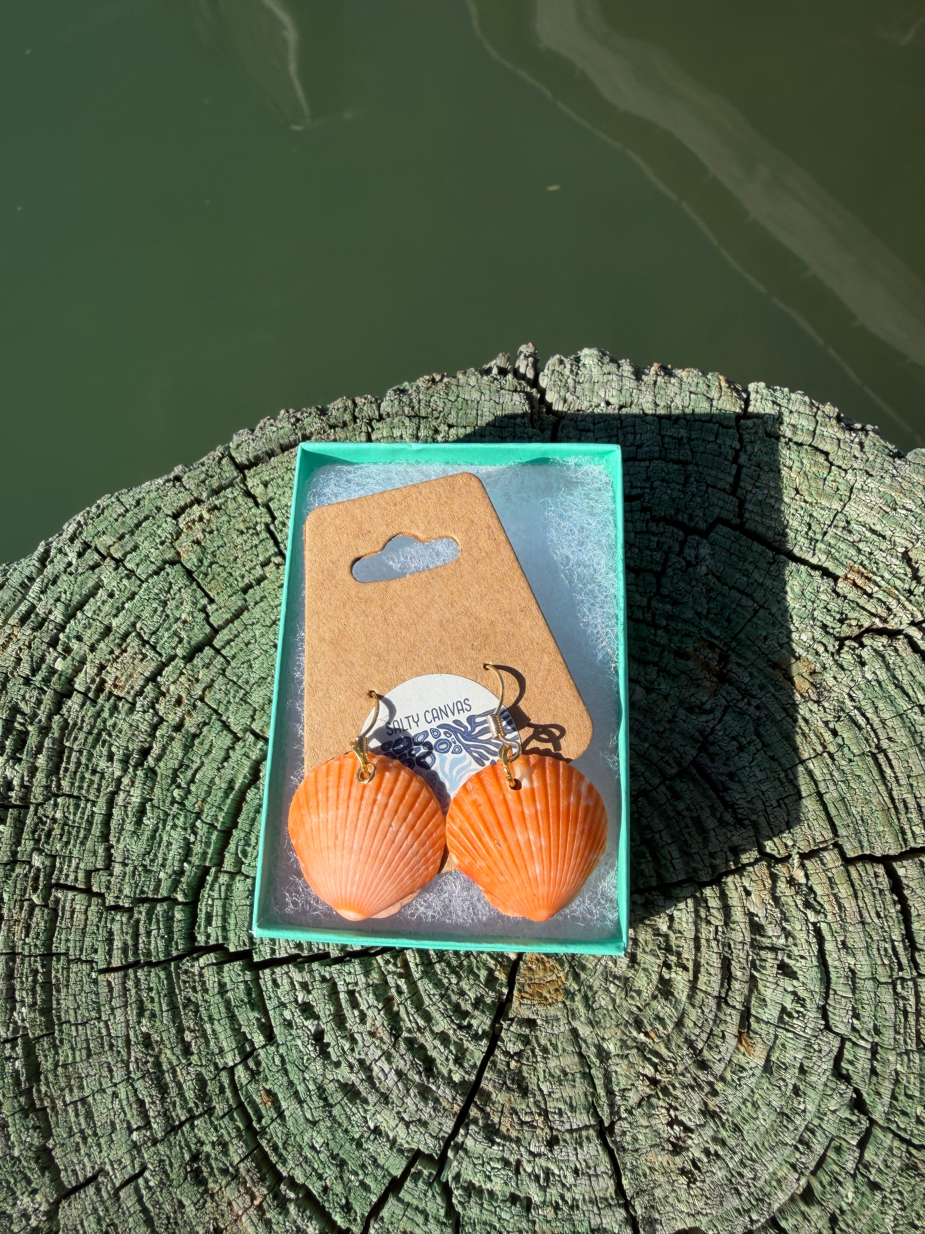 Orange scallop Shell Earrings