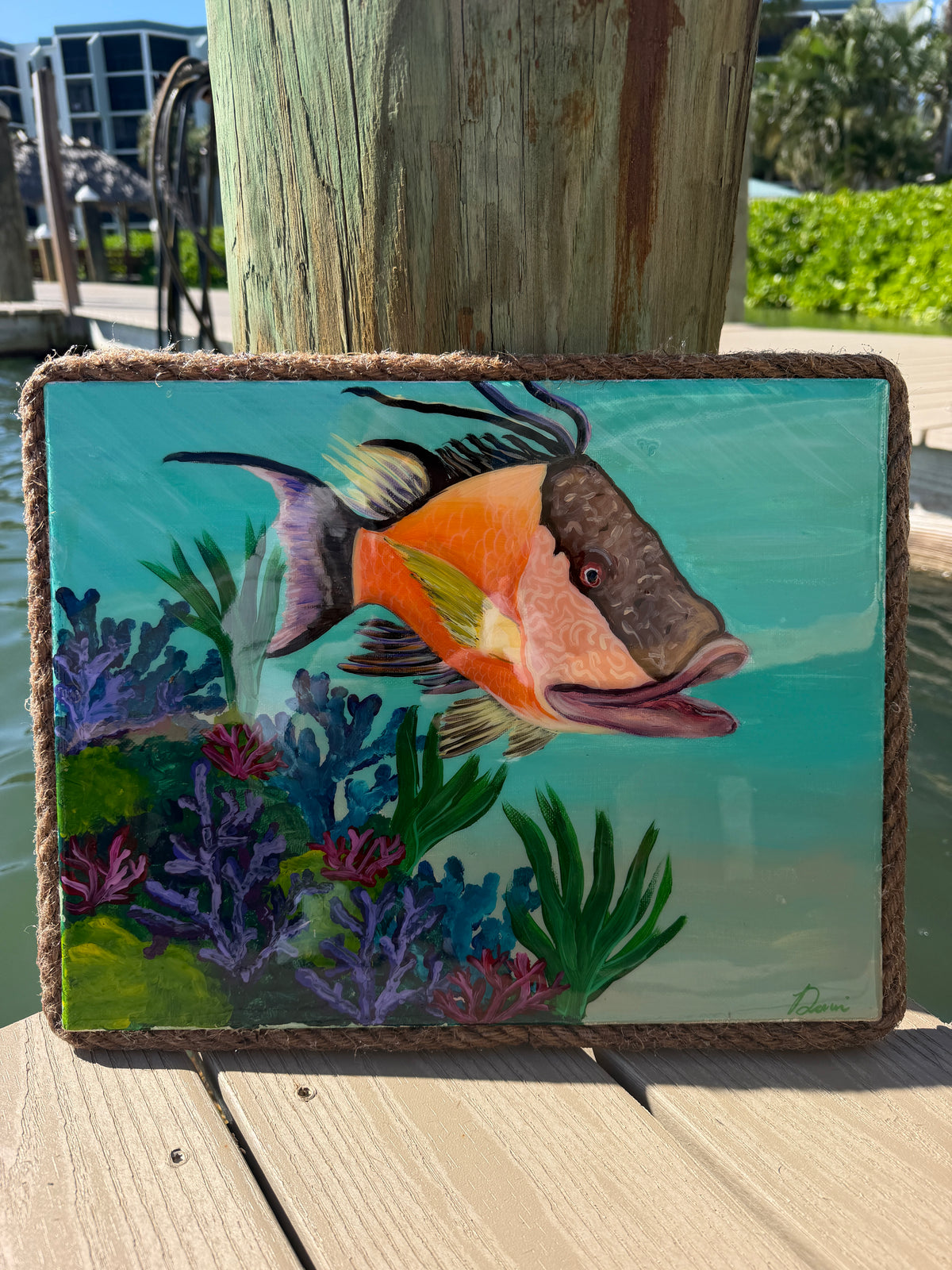 Hogfish Paradise