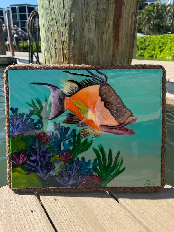 Hogfish Paradise