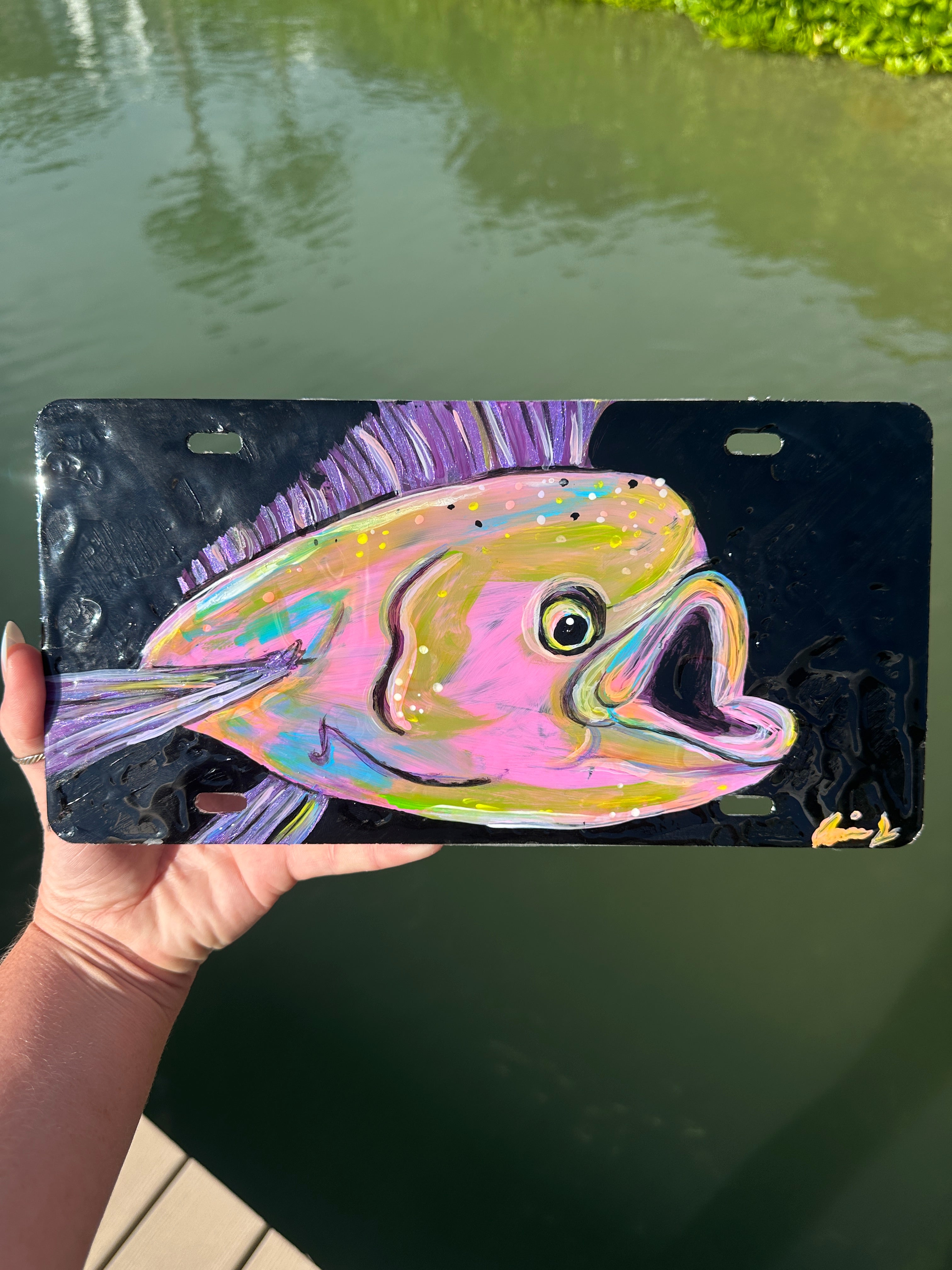 Dolphin Front Plate