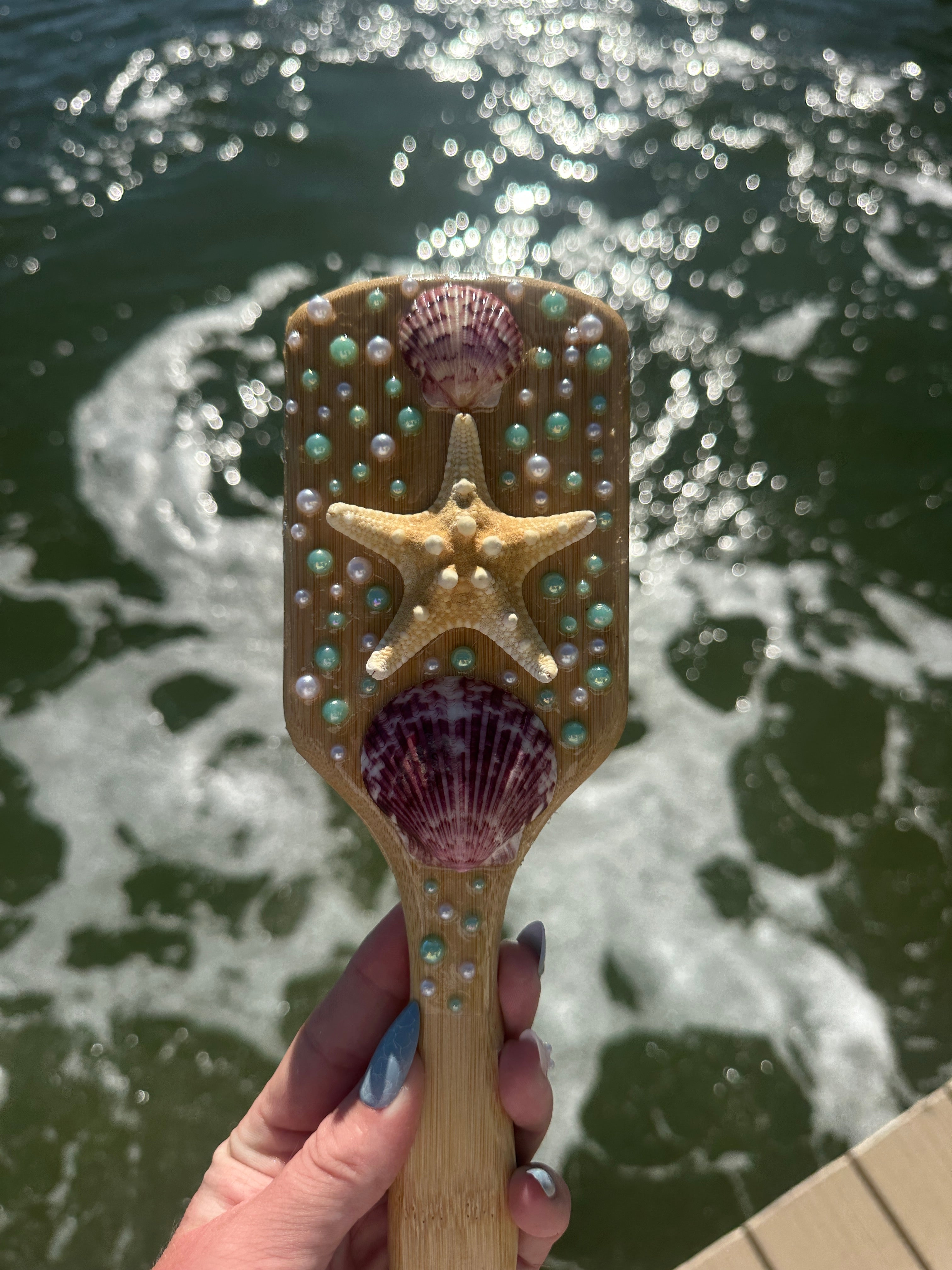 Shell Hair Brush