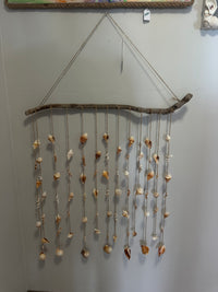 Wall Shell Art