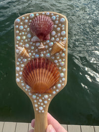 Shell hair brush