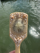 Shell Hair Brush